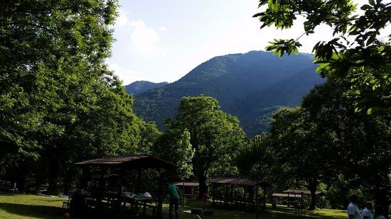 Parco Cerrus