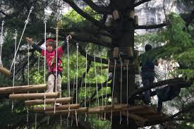 Jungle Adventure Park