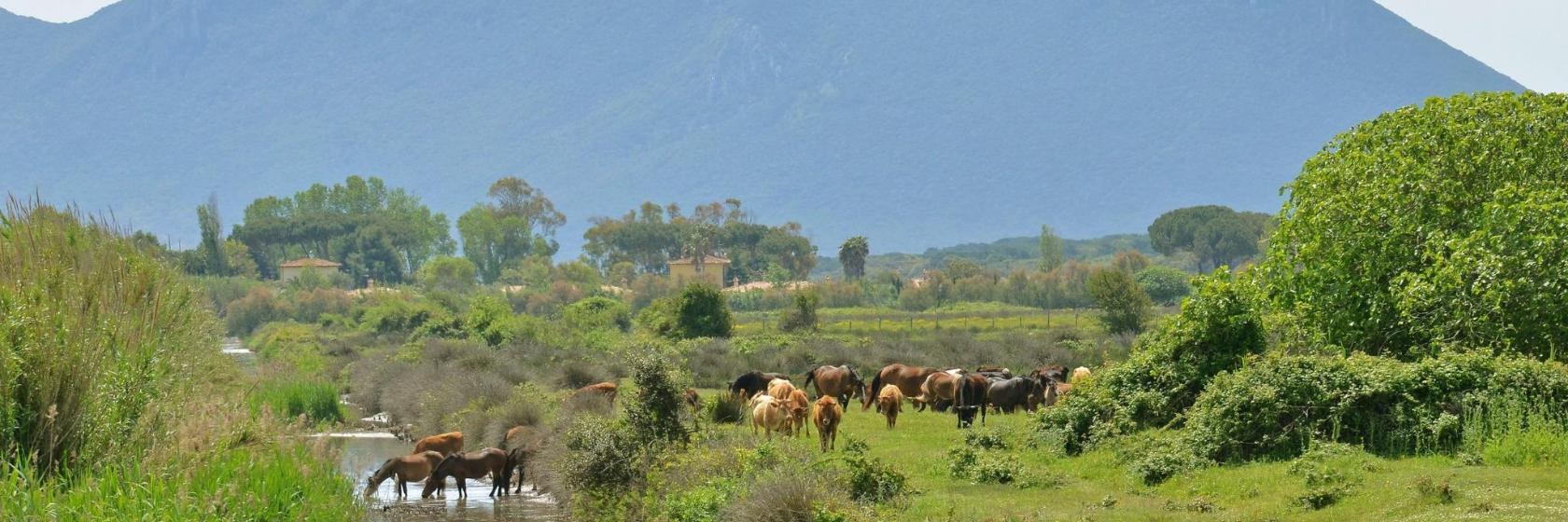 Parco Nazionale del Circeo