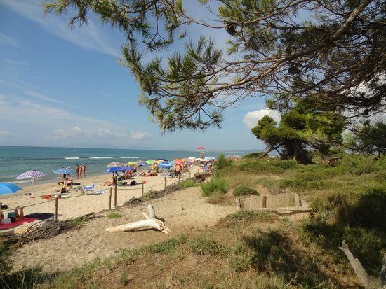 Riserva naturale Tomboli di Follonica